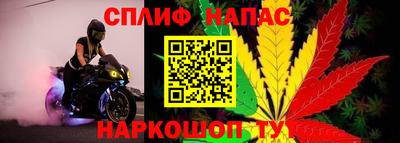 хмурый Гусь-Хрустальный
